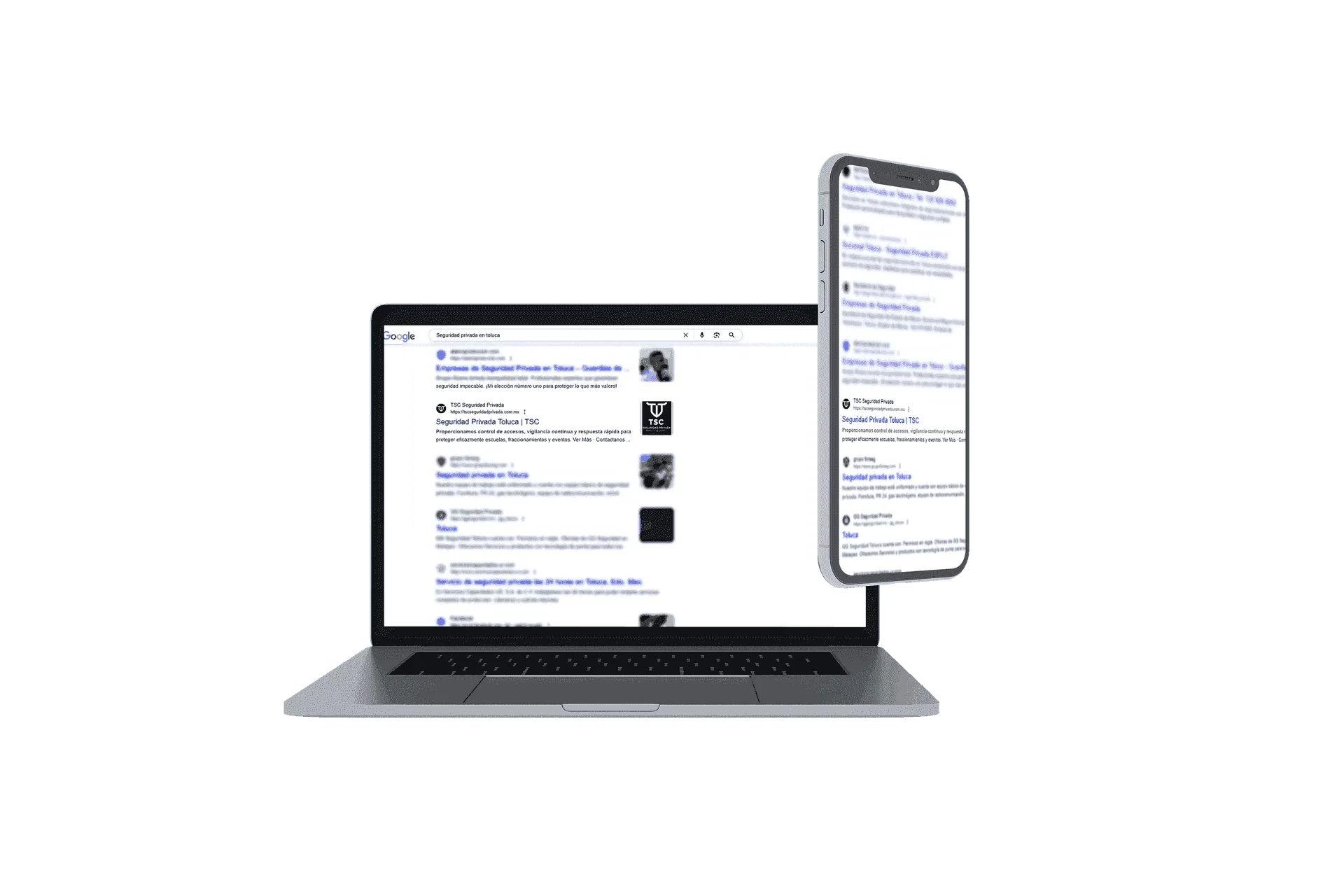 TSC Seguridad Privada: SEO